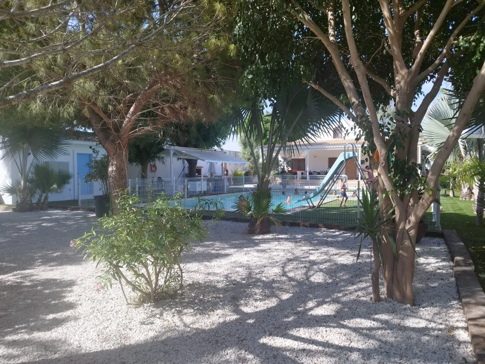 Jardin con palmeras y olivos de la Casa Rural Finca VegHug en Torre-Pacheco