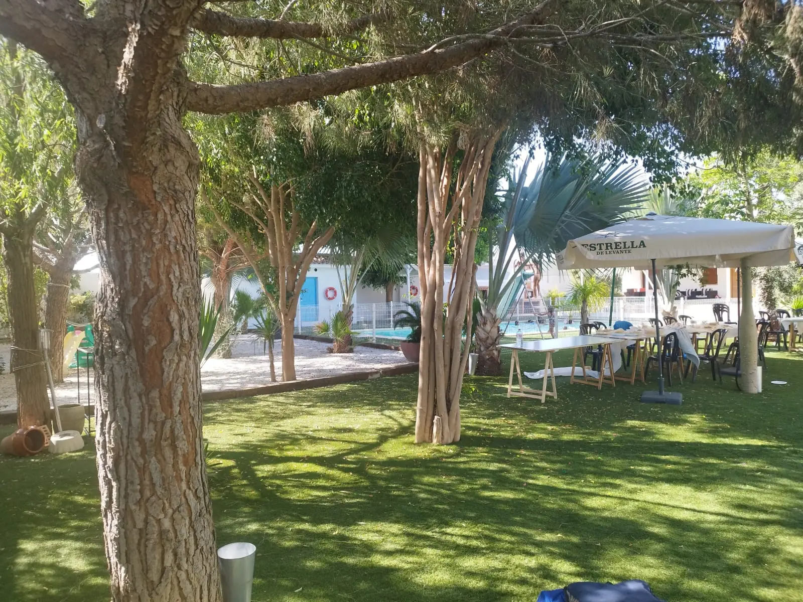 Cesped con sombrillas bajo los arboles junto a la piscina de la Casa Rural Finca VegHug