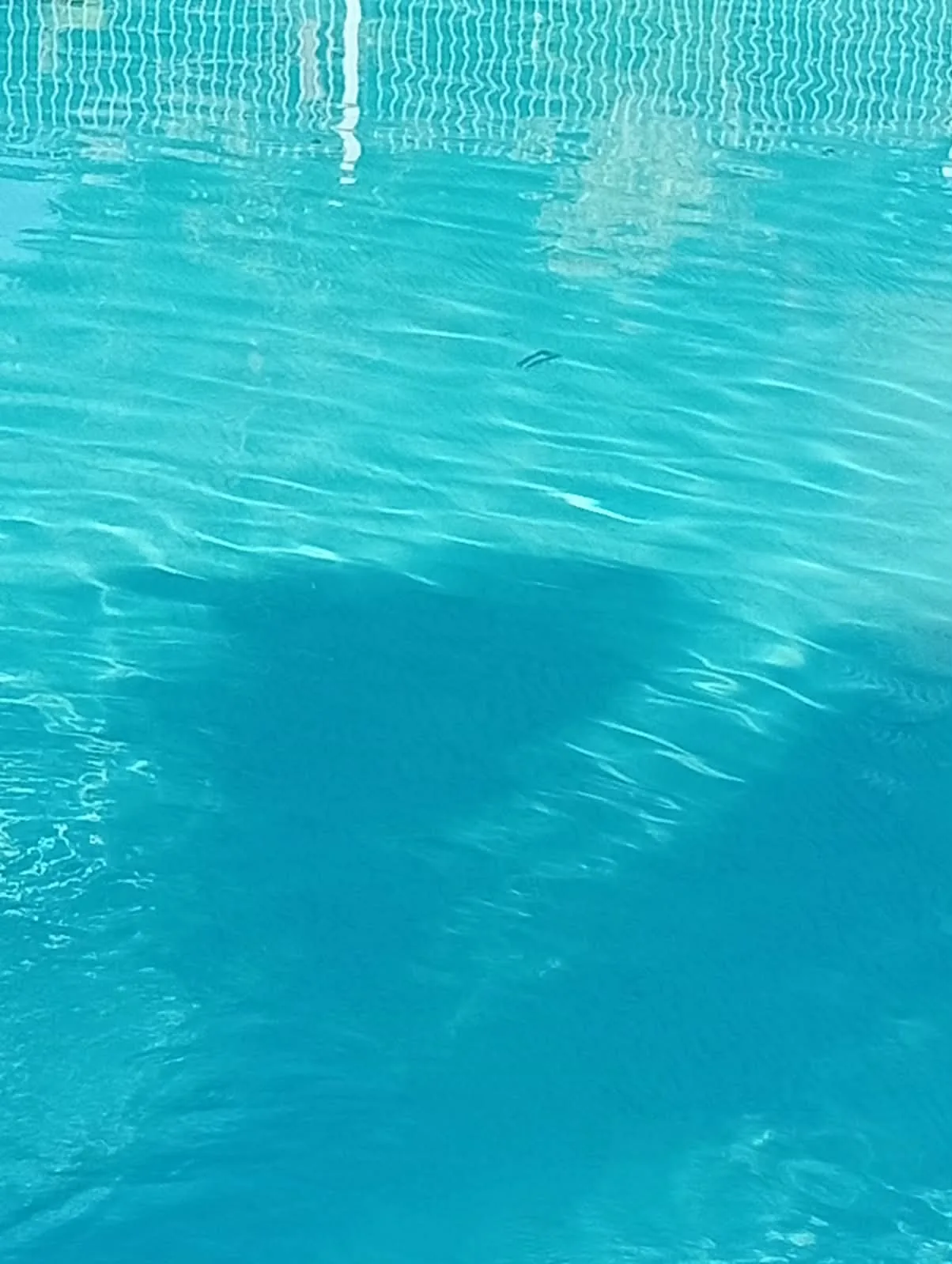 Piscina vallada con jacuzzi y tobogan de la Casa Rural Finca VegHug