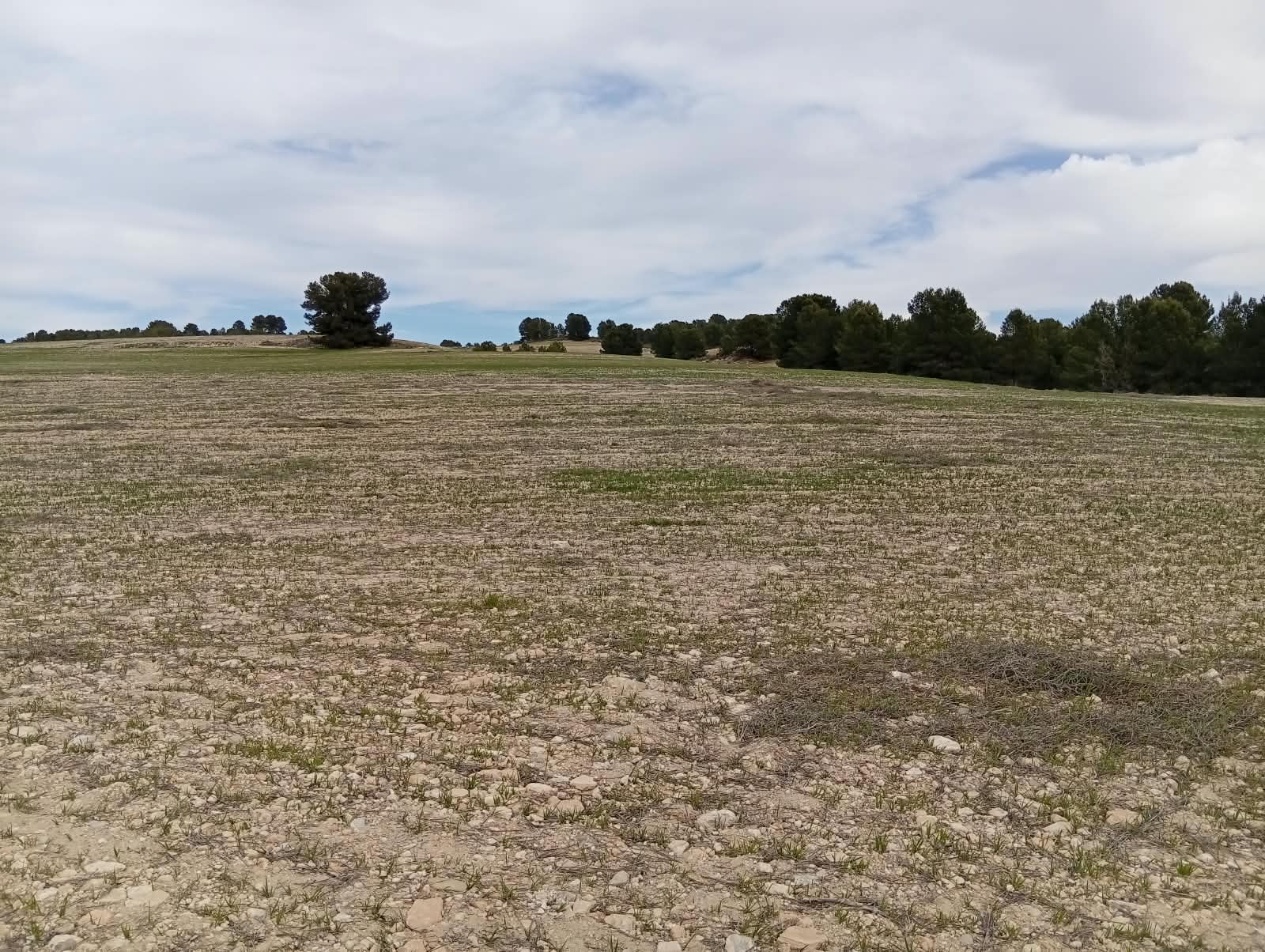 Finca rustica en venta con AgroVegHug en el Campo de Cartagena