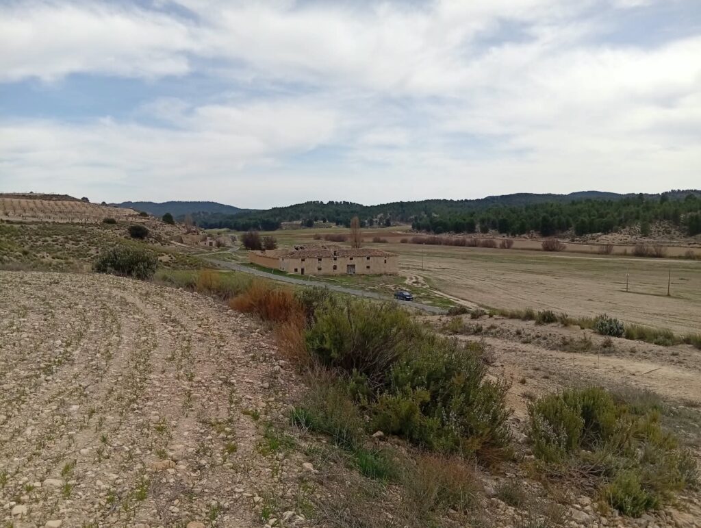 finca rustica veghug parcela secano 02 Finca de secano con alpacas de paja y masa forestal de pino