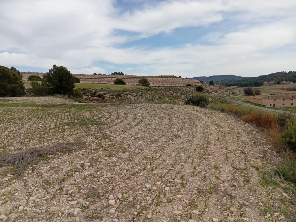 finca rustica veghug parcela secano 03 Finca rustica en venta con AgroVegHug en el Campo de Cartagena