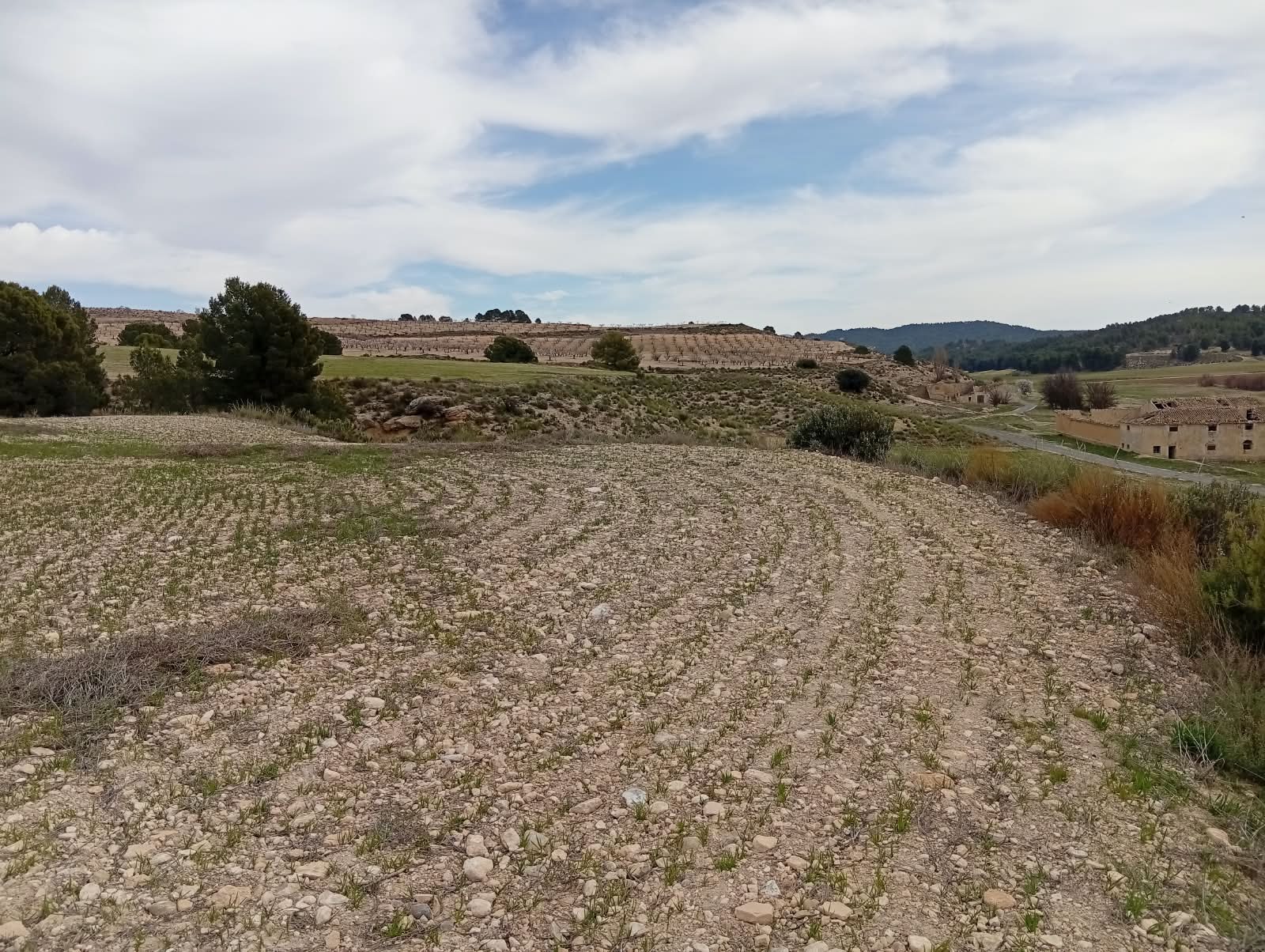Terreno agrícola con laboreo en curvas de nivel